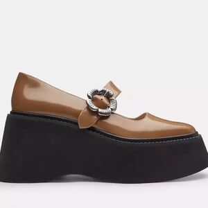 Tea Rose Platform Mary Jane Shoes